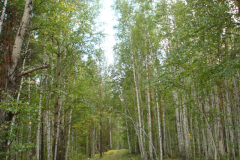 Космоэнергетика в Зауралье