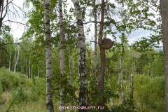 Космоэнергетика в Зауралье