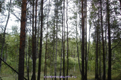 Космоэнергетика в Зауралье
