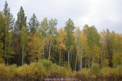 Космоэнергетика в Зауралье