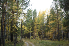 Космоэнергетика в Зауралье