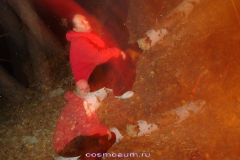 Космоэнергетика в Зауралье