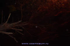 Космоэнергетика "Матрица Мага" 06.11.2010
