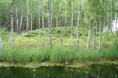 Экспедиция в Мещеру 2020