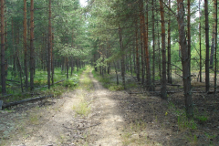 Экспедиция в Мещеру 2020