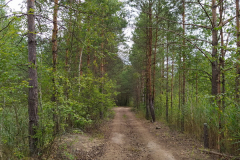 Экспедиция в Мещеру 2020