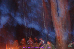 310