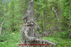сейдозеро космоэнергетика