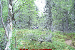 сейдозеро космоэнергетика